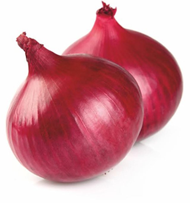 ONION SELECTION RED — Onion seeds, Durga Seed Farm