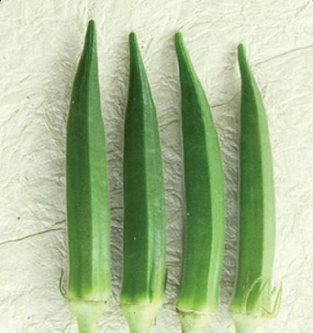 Okra Durgesh Nandini — Okra seeds, Durga Seed Farm