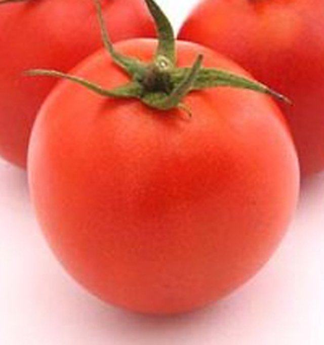 Tomato Super Lakshmi F1 — Tomato seeds, Durga Seed Farm