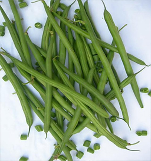 Beans Anupuma — French Beans seeds, Durga Seed Farm